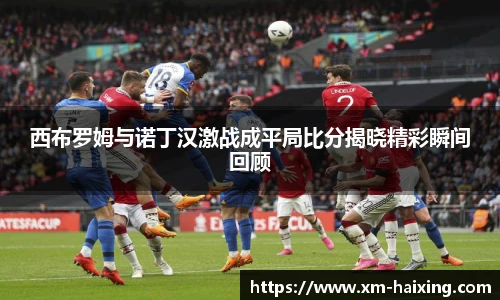 西布罗姆与诺丁汉激战成平局比分揭晓精彩瞬间回顾